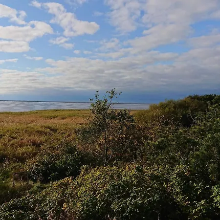 Spacious Retreat In Stauning - By Traum